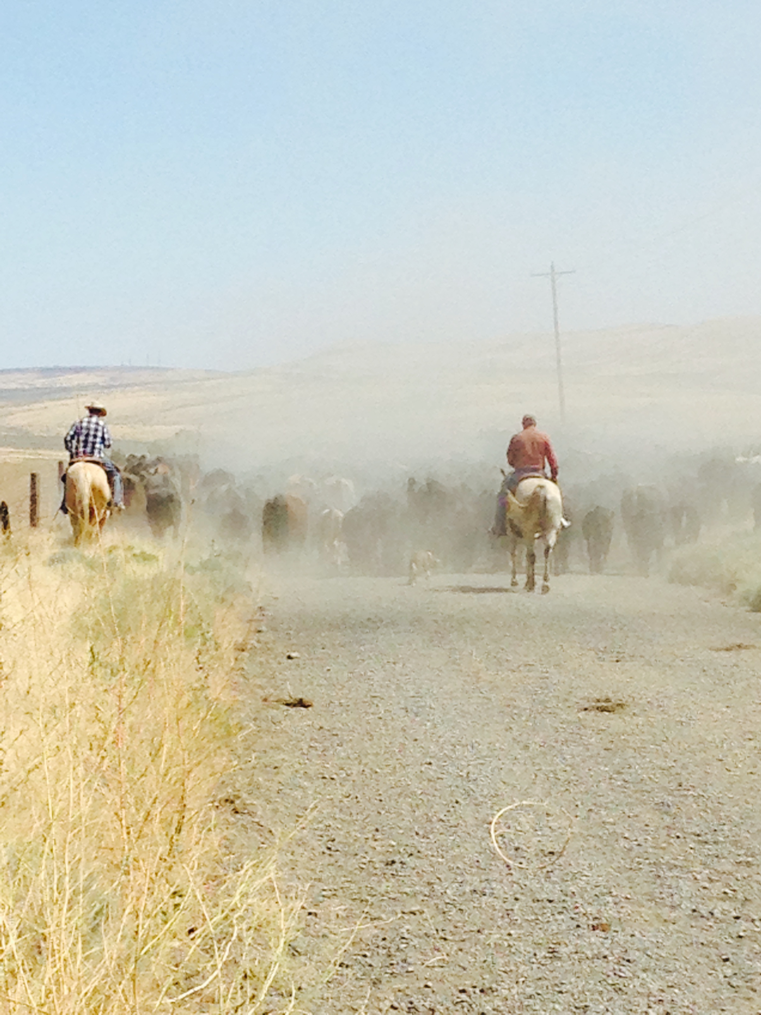 Sustainable ranching practices
