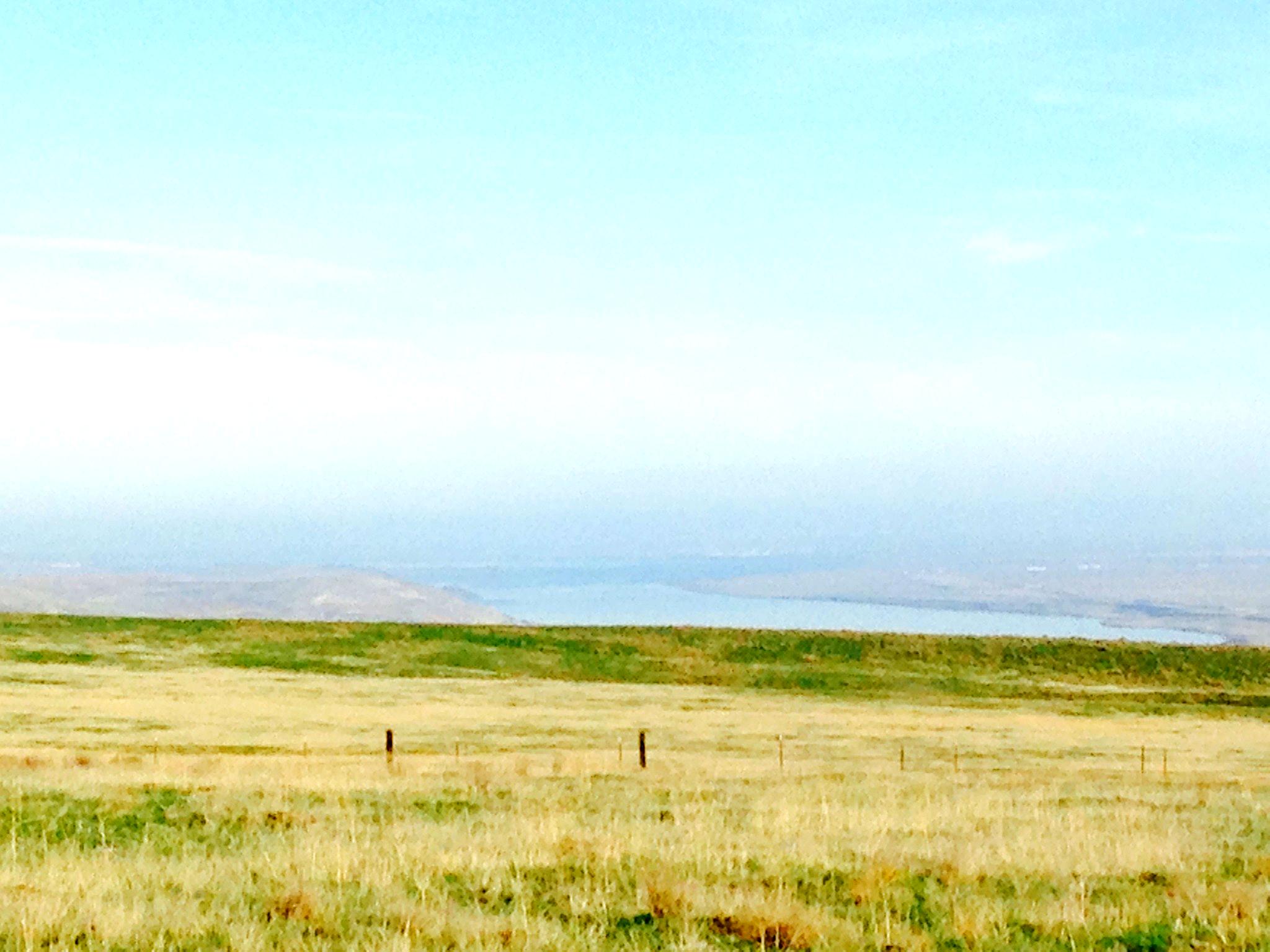 Washington dryland pastures